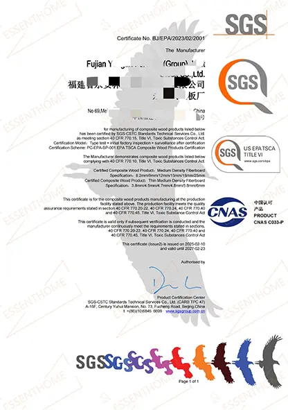 Certificate 6